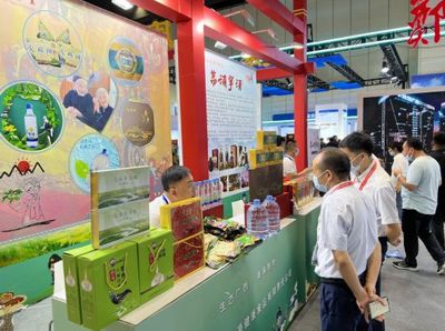 桂品出鄉(xiāng),逐鹿中原