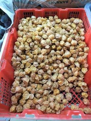 預包裝食品,蔬菜,水果,肉,魚零售,預包裝食品,蔬菜,水果,蔬菜,水果,肉 - 太子河區客來悅蔬菜水果超市